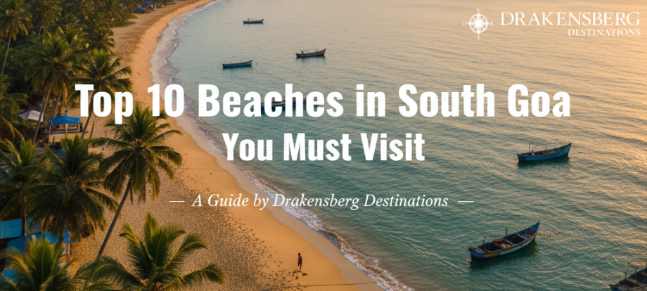 Top 10 Beaches in South Goa You Must Visit