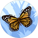 Aayana Ali M. profile picture